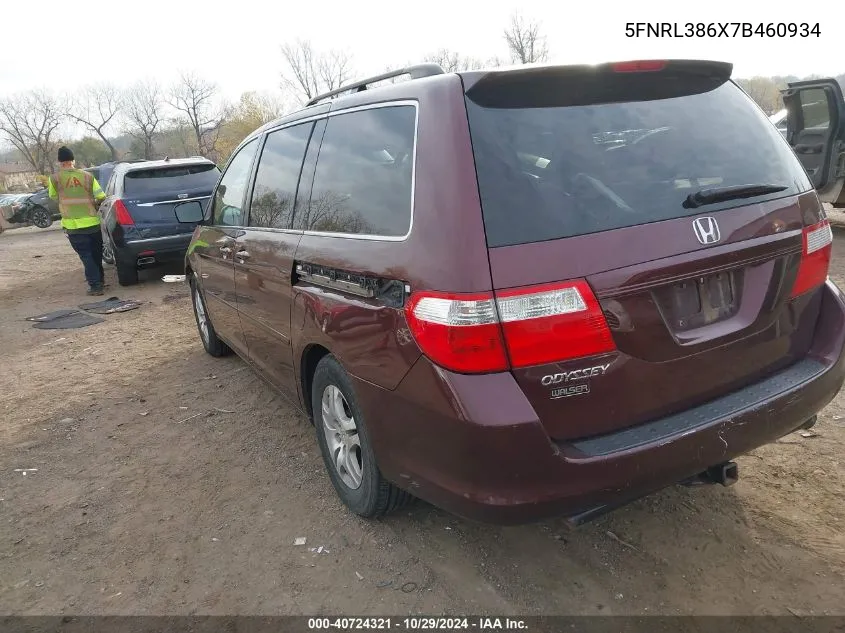 2007 Honda Odyssey Ex-L VIN: 5FNRL386X7B460934 Lot: 40724321