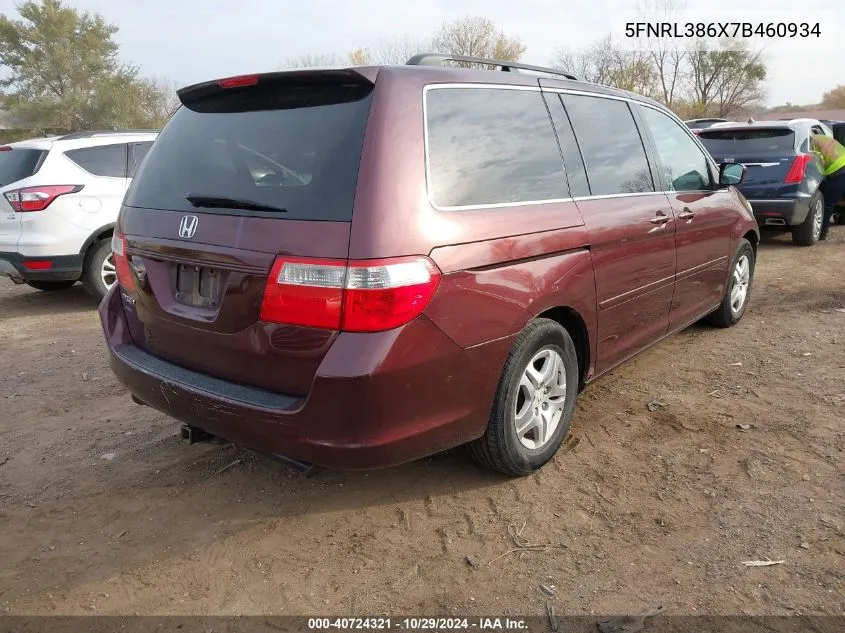 2007 Honda Odyssey Ex-L VIN: 5FNRL386X7B460934 Lot: 40724321