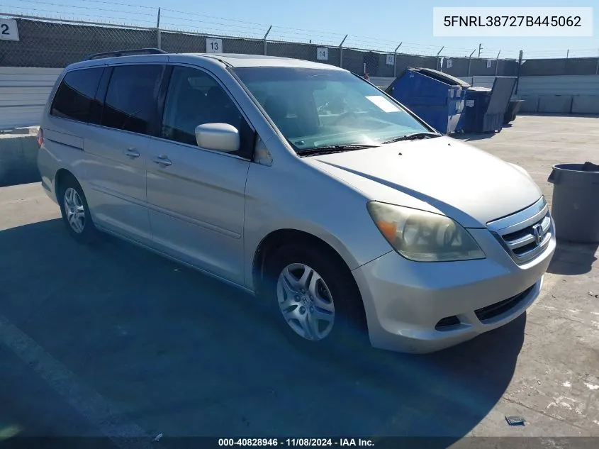 2007 Honda Odyssey Ex-L VIN: 5FNRL38727B445062 Lot: 40828946