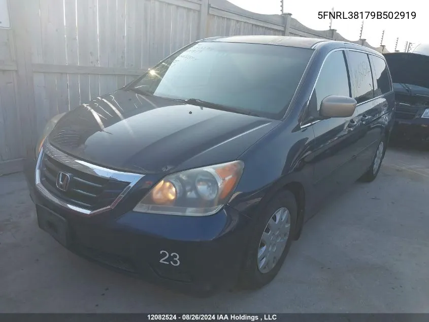 2009 Honda Odyssey VIN: 5FNRL38179B502919 Lot: 12082524