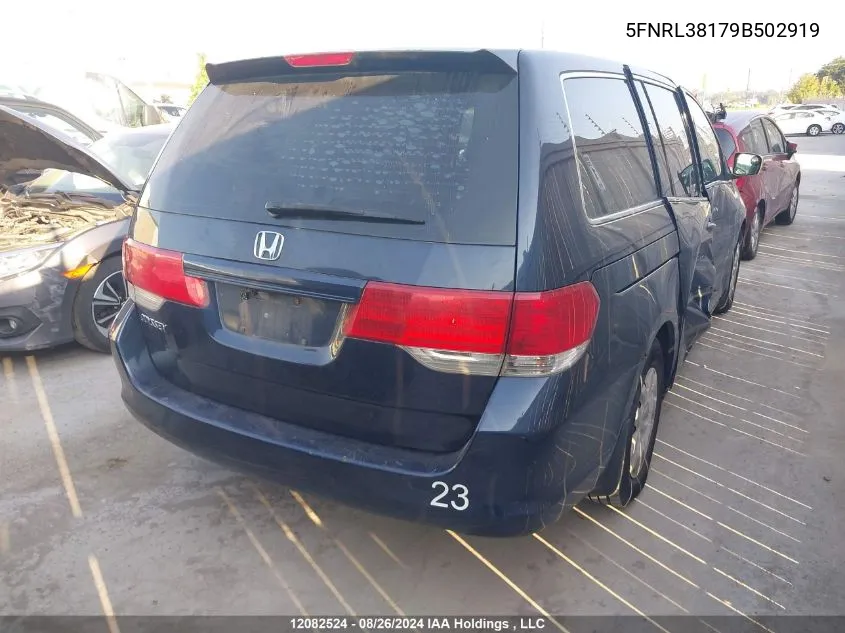 2009 Honda Odyssey VIN: 5FNRL38179B502919 Lot: 12082524