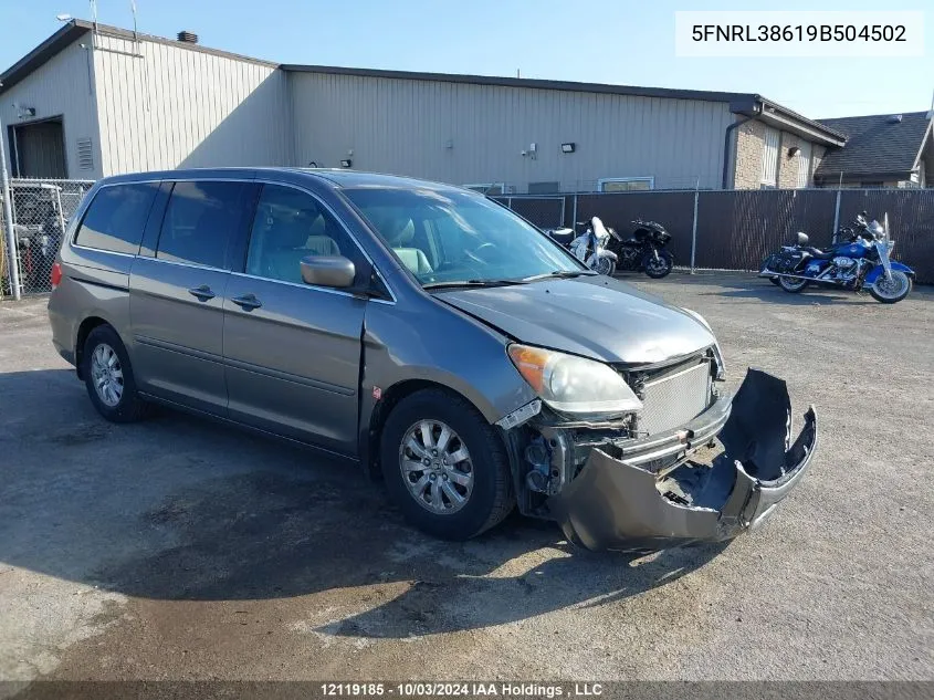 2009 Honda Odyssey VIN: 5FNRL38619B504502 Lot: 12119185