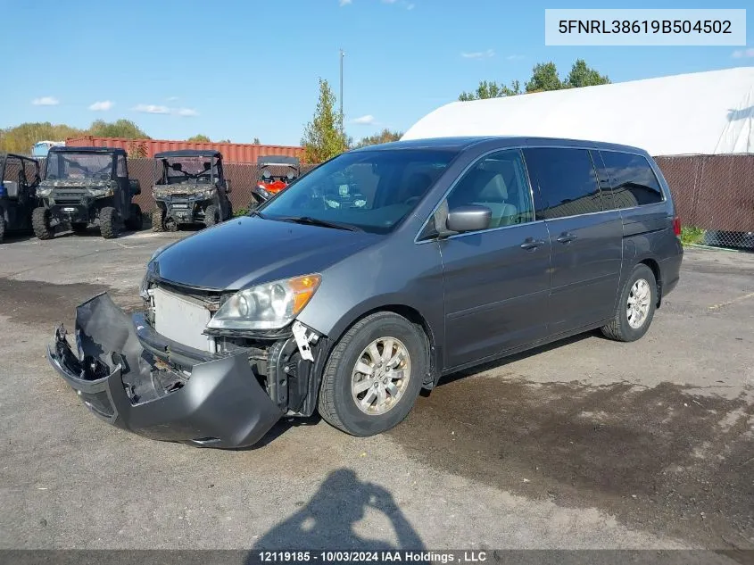 2009 Honda Odyssey VIN: 5FNRL38619B504502 Lot: 12119185