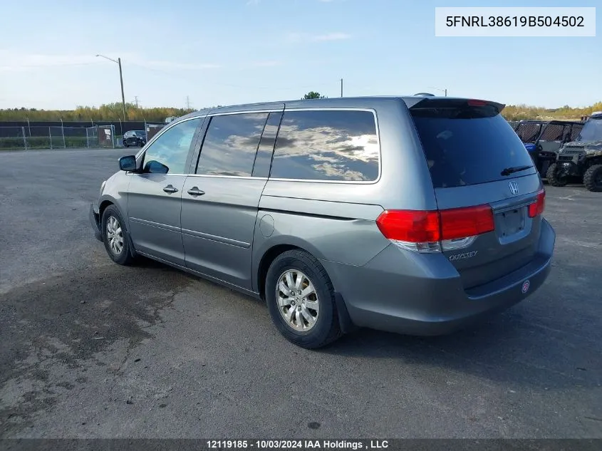 2009 Honda Odyssey VIN: 5FNRL38619B504502 Lot: 12119185