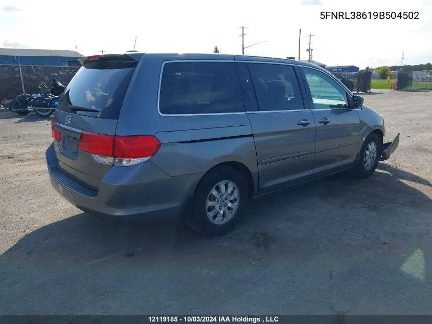 2009 Honda Odyssey VIN: 5FNRL38619B504502 Lot: 12119185