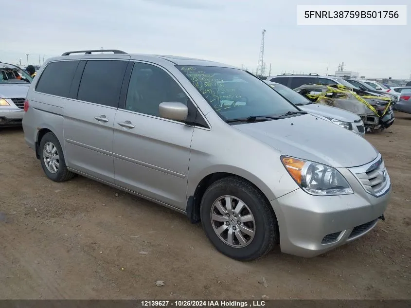 2009 Honda Odyssey VIN: 5FNRL38759B501756 Lot: 12139627