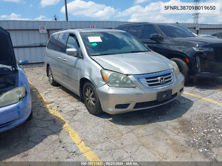 2009 Honda Odyssey Ex-L VIN: 5FNRL38709B019650 Lot: 39711937