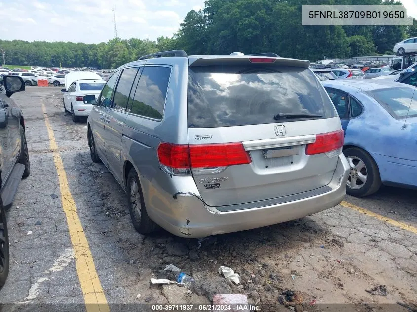 2009 Honda Odyssey Ex-L VIN: 5FNRL38709B019650 Lot: 39711937