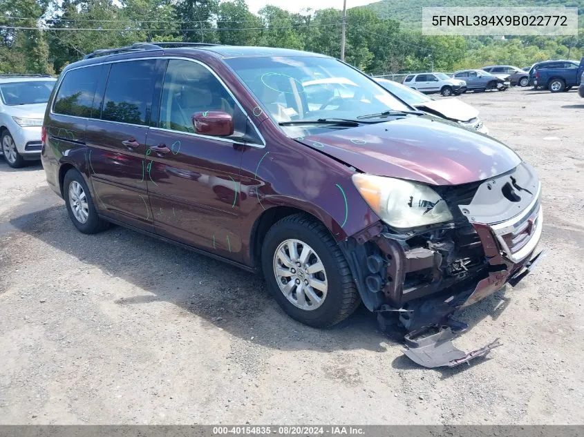 2009 Honda Odyssey Ex VIN: 5FNRL384X9B022772 Lot: 40154835