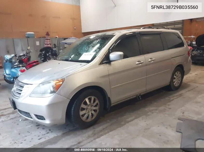 2009 Honda Odyssey Ex-L VIN: 5FNRL38729B035560 Lot: 40310514