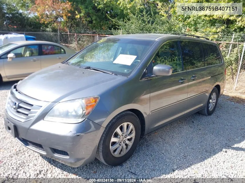 2009 Honda Odyssey Ex-L VIN: 5FNRL38759B407151 Lot: 40324130