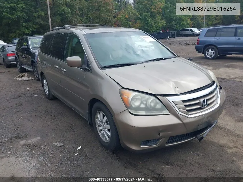 5FNRL38729B016264 2009 Honda Odyssey Ex-L