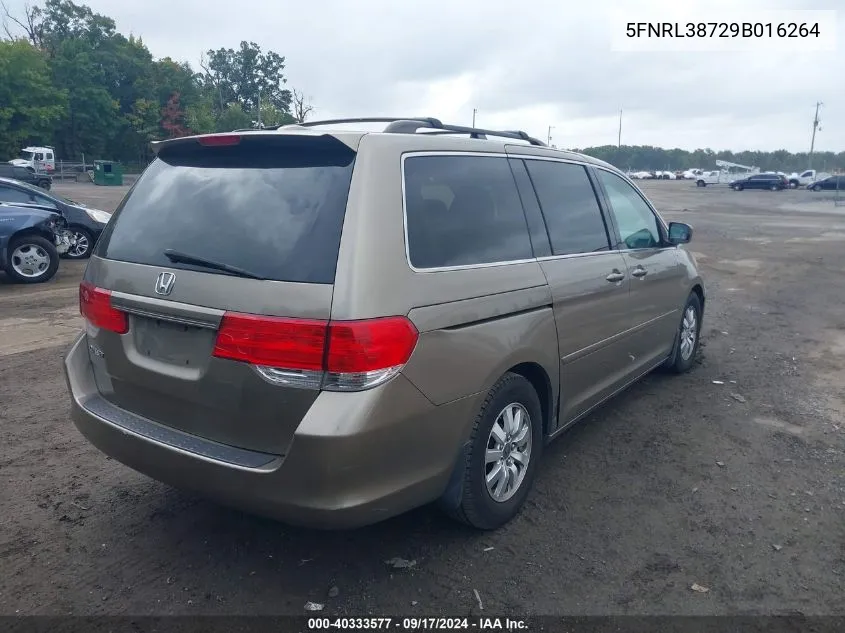 2009 Honda Odyssey Ex-L VIN: 5FNRL38729B016264 Lot: 40333577