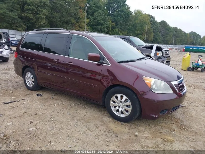 2009 Honda Odyssey Ex VIN: 5FNRL38459B409214 Lot: 40343341