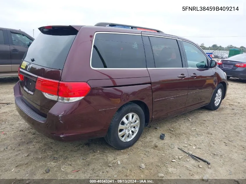 2009 Honda Odyssey Ex VIN: 5FNRL38459B409214 Lot: 40343341