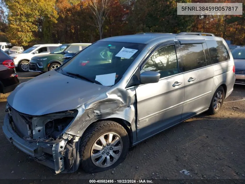 2009 Honda Odyssey Ex VIN: 5FNRL38459B057817 Lot: 40582495