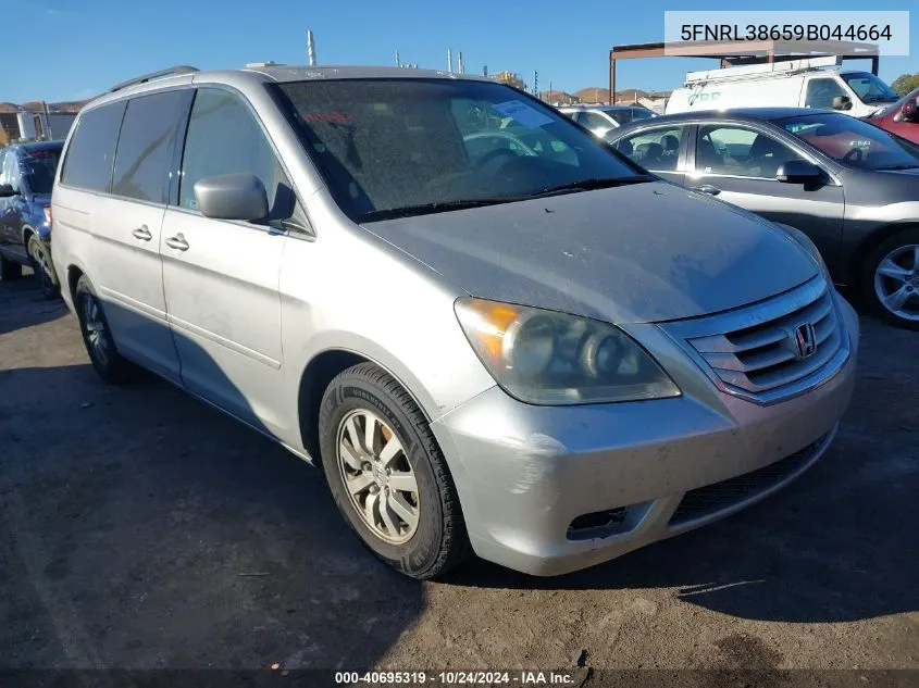 2009 Honda Odyssey Ex-L VIN: 5FNRL38659B044664 Lot: 40695319