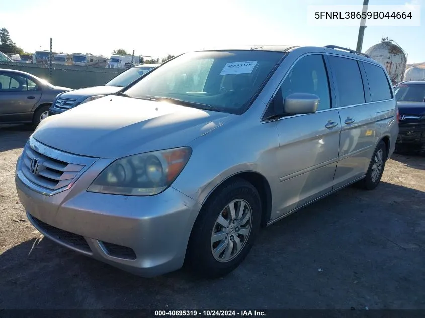 2009 Honda Odyssey Ex-L VIN: 5FNRL38659B044664 Lot: 40695319