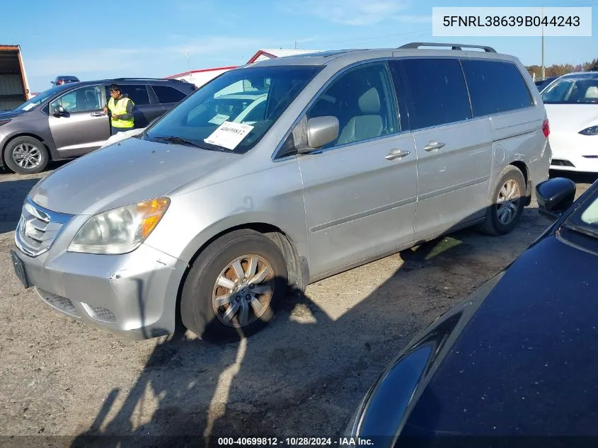 2009 Honda Odyssey Ex-L VIN: 5FNRL38639B044243 Lot: 40699812