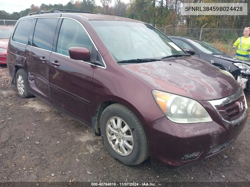 2009 Honda Odyssey Ex VIN: 5FNRL38459B024428 Lot: 40764018