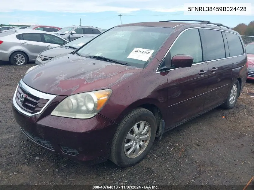 2009 Honda Odyssey Ex VIN: 5FNRL38459B024428 Lot: 40764018