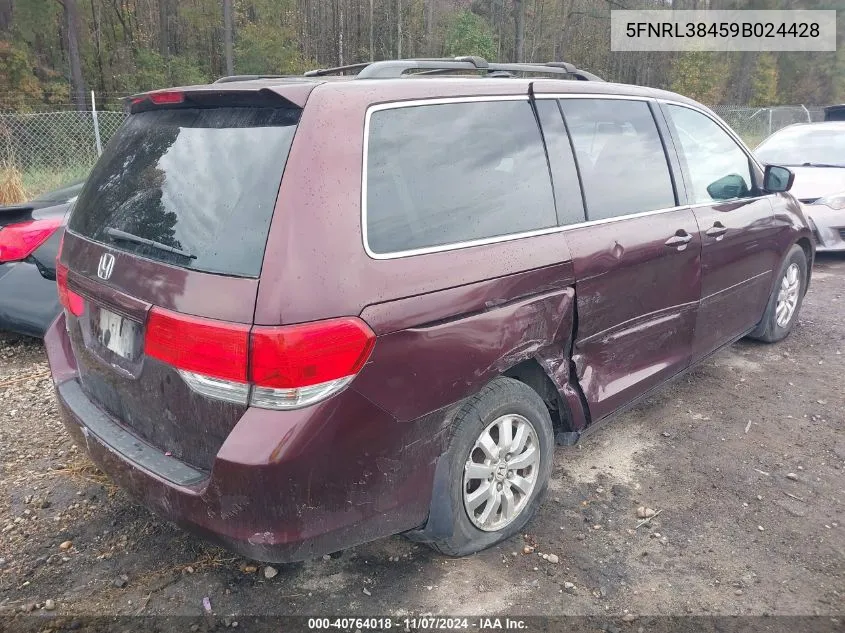 2009 Honda Odyssey Ex VIN: 5FNRL38459B024428 Lot: 40764018