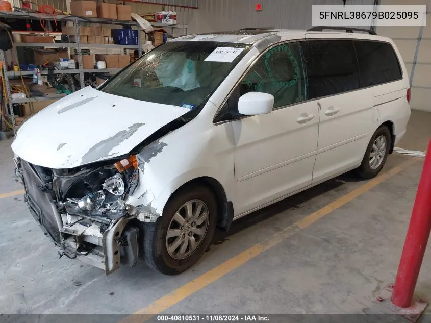 2009 Honda Odyssey Ex-L VIN: 5FNRL38679B025095 Lot: 40810531