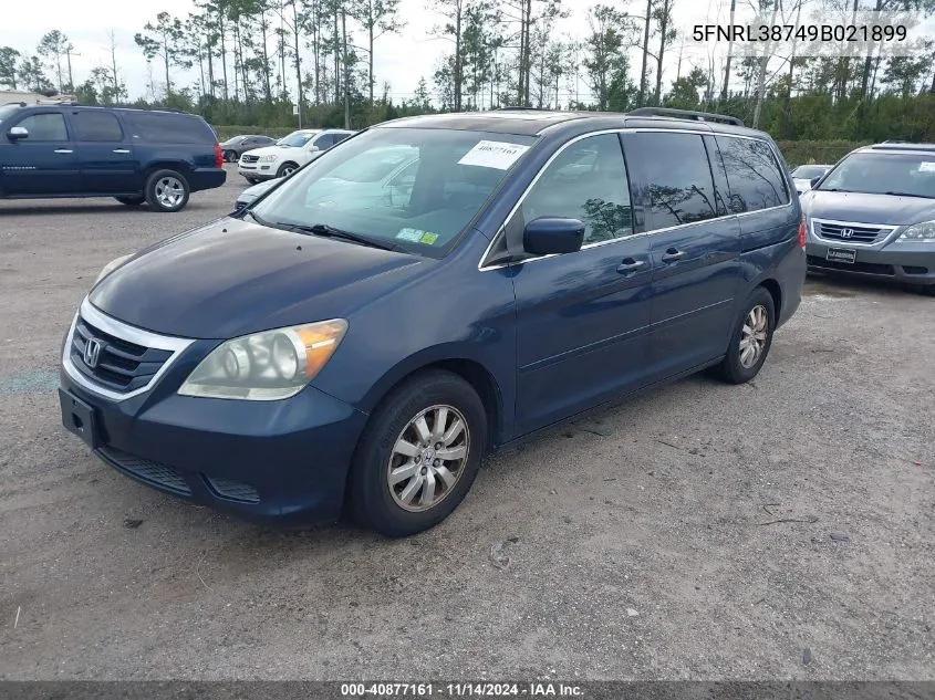 2009 Honda Odyssey Ex-L VIN: 5FNRL38749B021899 Lot: 40877161