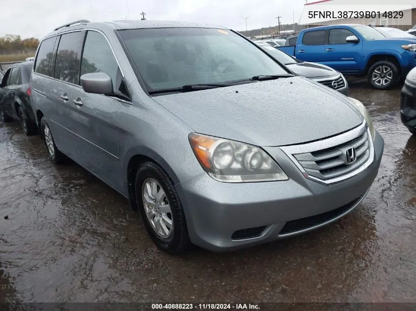 2009 Honda Odyssey Ex-L VIN: 5FNRL38739B014829 Lot: 40888223