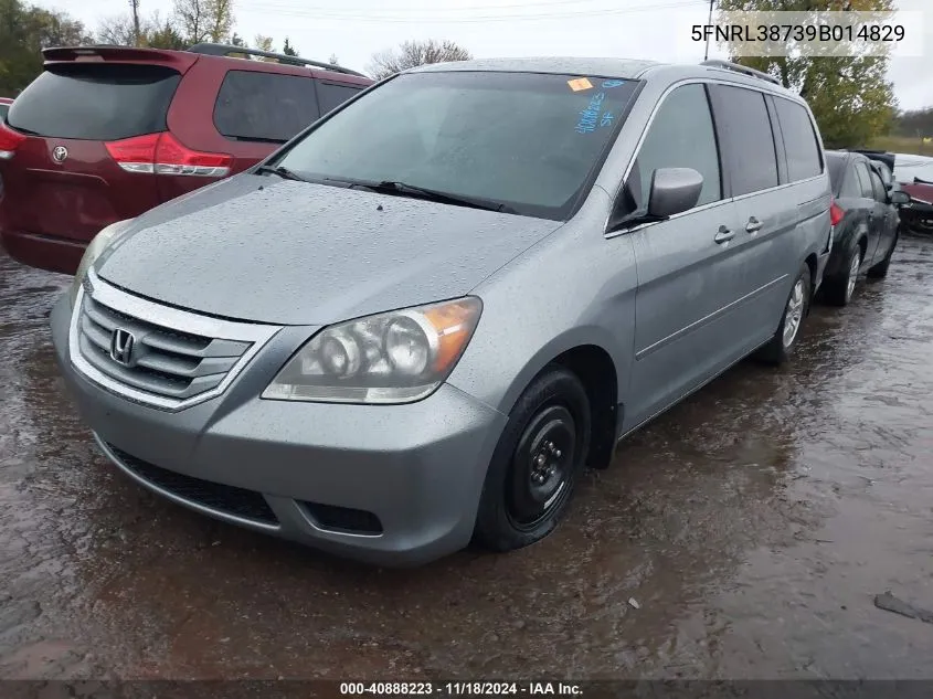 2009 Honda Odyssey Ex-L VIN: 5FNRL38739B014829 Lot: 40888223