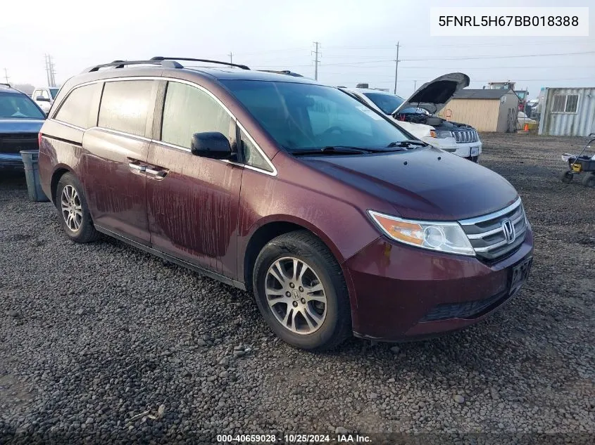 2011 Honda Odyssey Ex-L VIN: 5FNRL5H67BB018388 Lot: 40659028