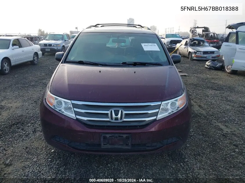 2011 Honda Odyssey Ex-L VIN: 5FNRL5H67BB018388 Lot: 40659028