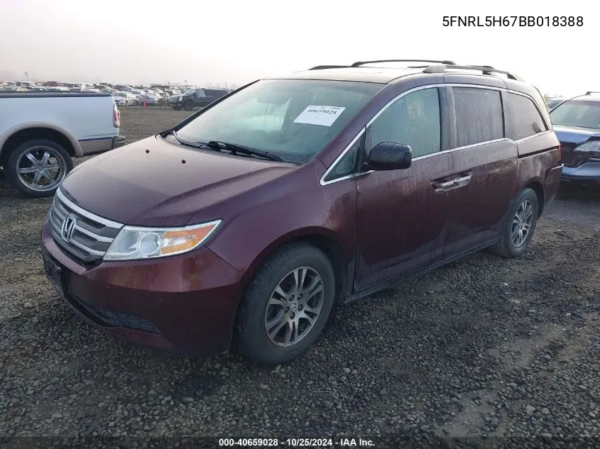 2011 Honda Odyssey Ex-L VIN: 5FNRL5H67BB018388 Lot: 40659028