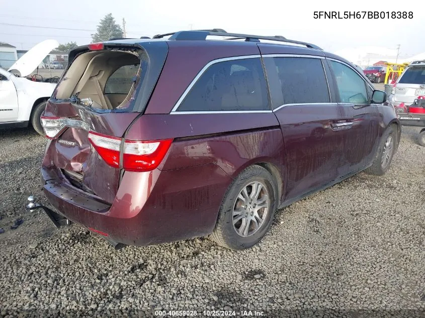 2011 Honda Odyssey Ex-L VIN: 5FNRL5H67BB018388 Lot: 40659028