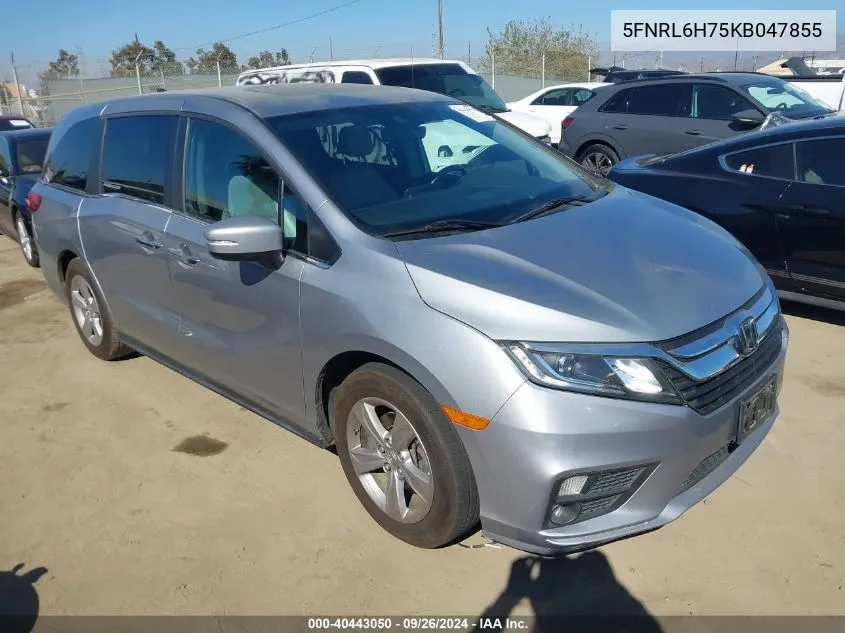 2019 Honda Odyssey Ex-L VIN: 5FNRL6H75KB047855 Lot: 40443050