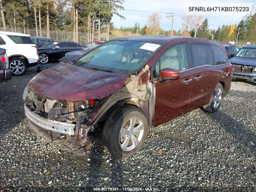 2019 Honda Odyssey Ex-L VIN: 5FNRL6H71KB075233 Lot: 40779361