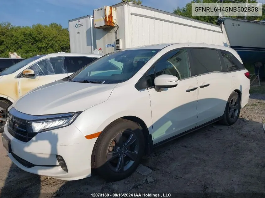 2022 Honda Odyssey VIN: 5FNRL6H45NB502858 Lot: 12073180