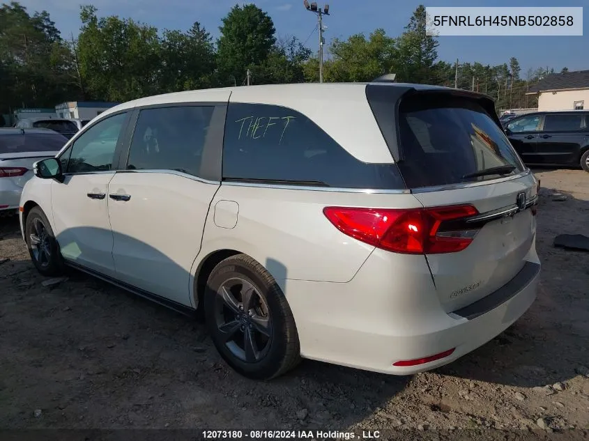 2022 Honda Odyssey VIN: 5FNRL6H45NB502858 Lot: 12073180