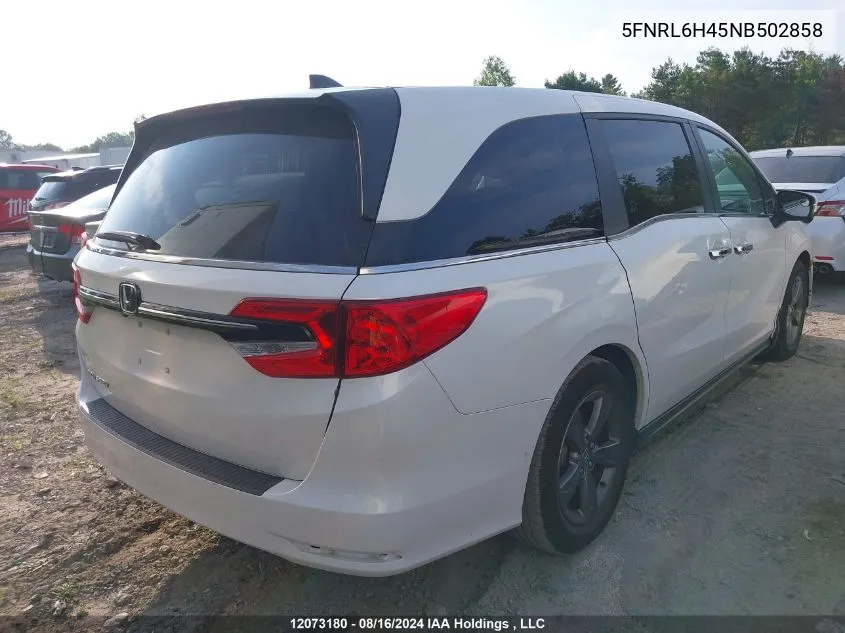 2022 Honda Odyssey VIN: 5FNRL6H45NB502858 Lot: 12073180