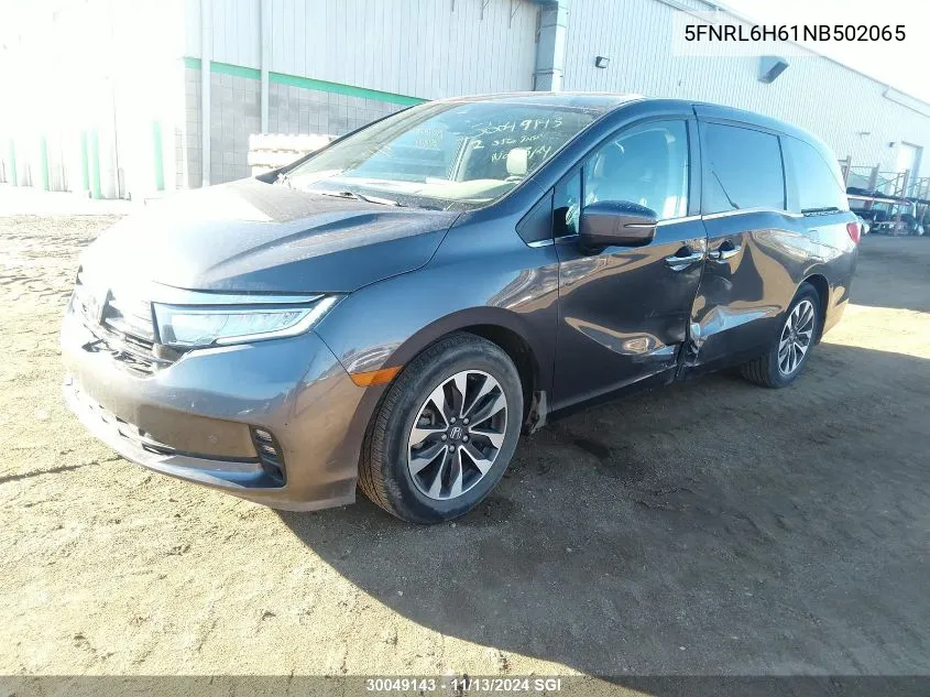 2022 Honda Odyssey VIN: 5FNRL6H61NB502065 Lot: 30049143