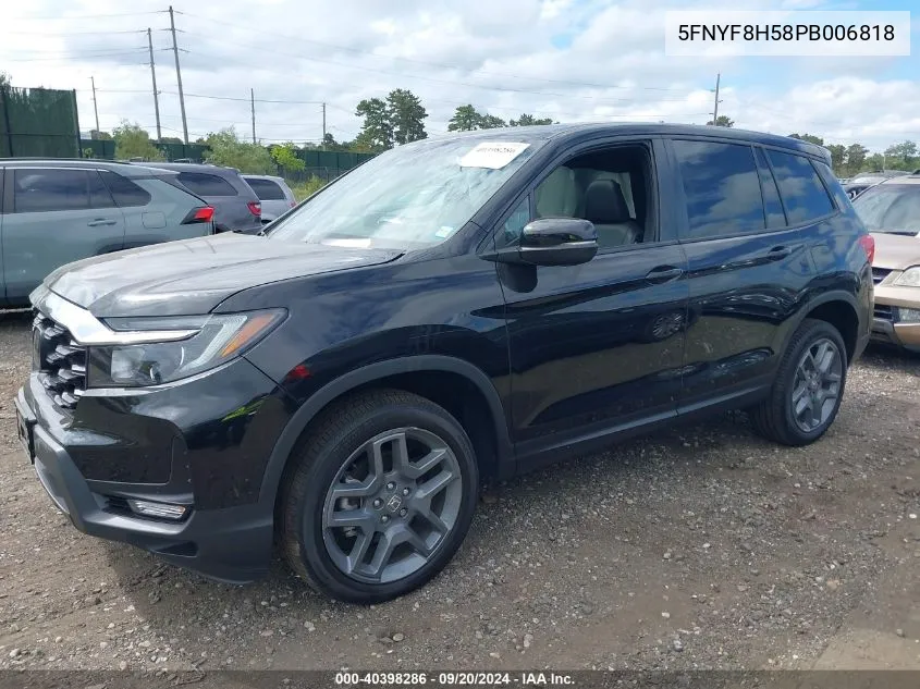 2023 Honda Passport Awd Ex-L VIN: 5FNYF8H58PB006818 Lot: 40398286