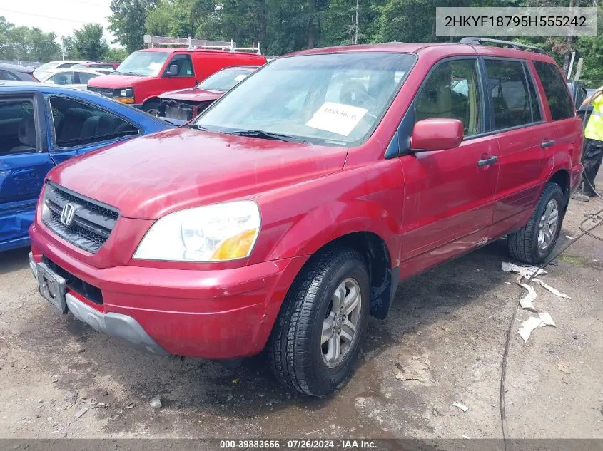 2005 Honda Pilot Ex-L VIN: 2HKYF18795H555242 Lot: 39883656