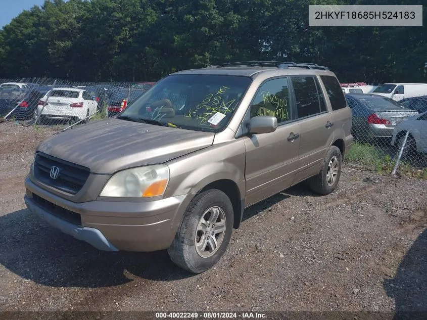 2005 Honda Pilot Ex-L VIN: 2HKYF18685H524183 Lot: 40022249