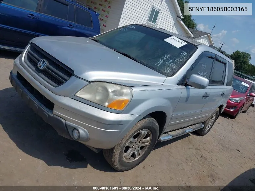 2005 Honda Pilot Ex-L VIN: 5FNYF18605B003165 Lot: 40181601