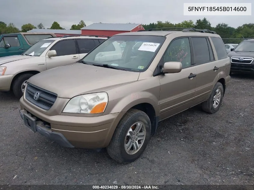 2005 Honda Pilot Ex-L VIN: 5FNYF18545B014600 Lot: 40234029