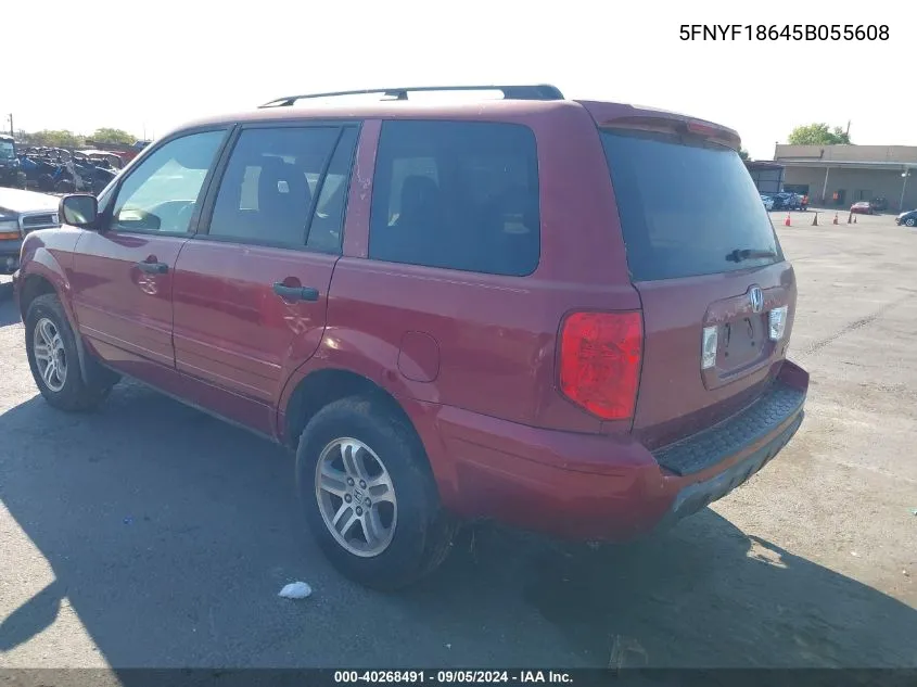 2005 Honda Pilot Exl VIN: 5FNYF18645B055608 Lot: 40268491