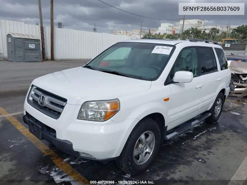 2006 Honda Pilot Ex-L VIN: 5FNYF28656B037609 Lot: 40726966