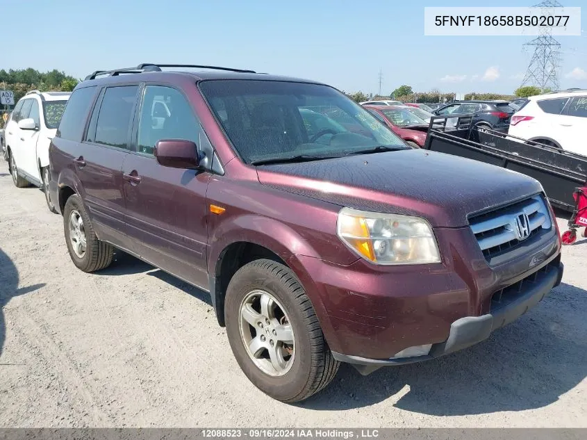 2008 Honda Pilot VIN: 5FNYF18658B502077 Lot: 12088523