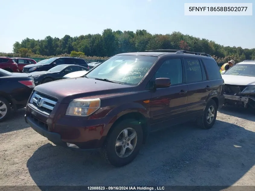 2008 Honda Pilot VIN: 5FNYF18658B502077 Lot: 12088523