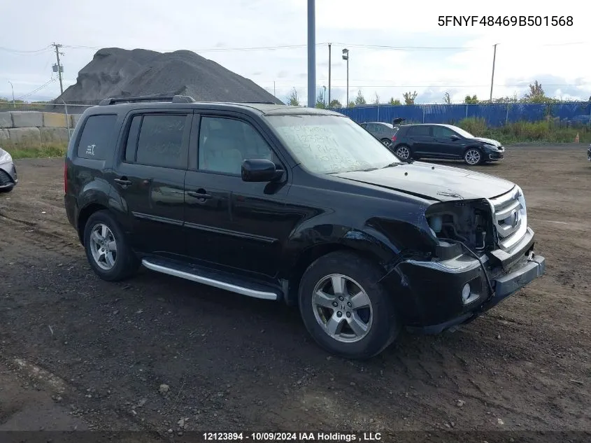 2009 Honda Pilot VIN: 5FNYF48469B501568 Lot: 12123894